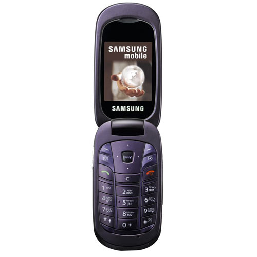 Samsung SGH-L320